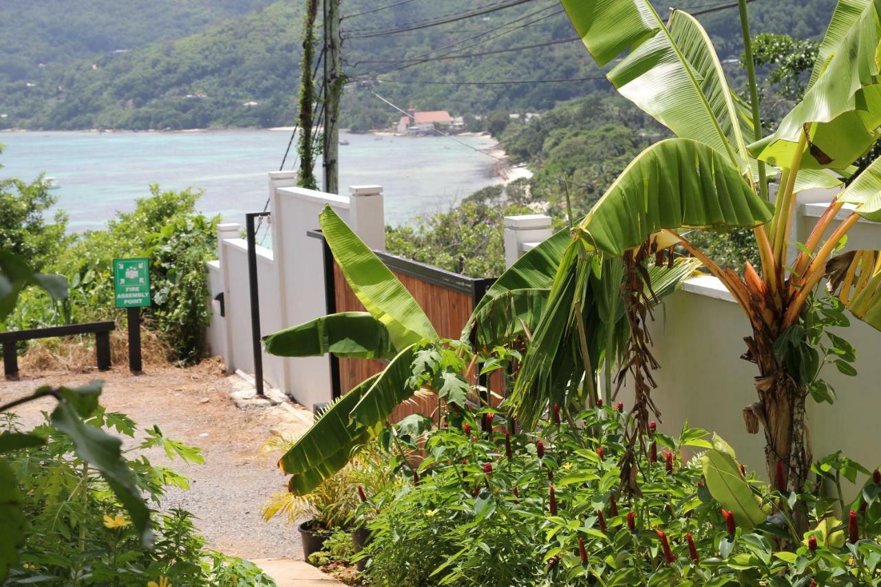 Island Cove Daire Victoria Dış mekan fotoğraf